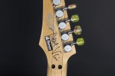 Ibanez Limited Edition Steve Vai JEM 20th Anniversary-25.jpg